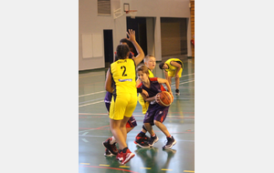 5bfcffc5e671b_U13BCTMFREPILLON47.JPG