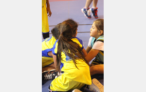 5bfd008fcbd22_U92BCTMSARCELLES131.JPG