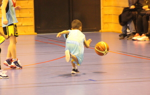 5bfd0092d9d6e_U92BCTMSARCELLES134.JPG