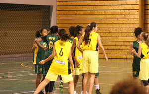 5bfe87423a255_IMG8981.JPG