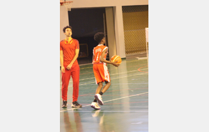 5c6087c409cc4_U151BCTMBEZONS137.JPG