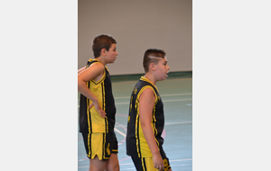 5cb0fcc5e9ec9_U11BCTMJOUYLEMOUTIER63.JPG