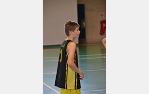 5cb0fcc8127f1_U11BCTMJOUYLEMOUTIER64.JPG