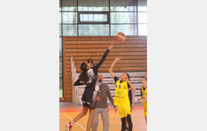 6429fbc6ac927_BCTMU13FCERGY1.JPG