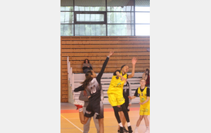 6429fbc90f3da_BCTMU13FCERGY2.JPG