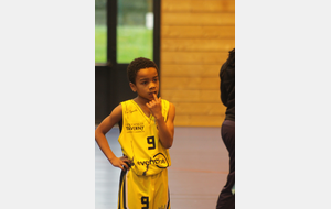 65e4e38d456f8_BCTMU11SANNOISSTGRATIEN2.JPG