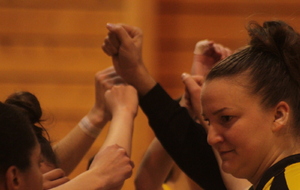 66034b08c71d6_BCTMSENIORSFENNERY12.JPG